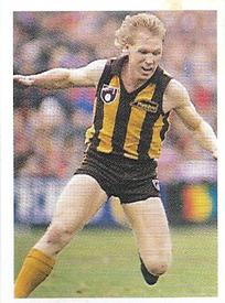 1991 Select AFL Stickers #154 Andrew Collins Front